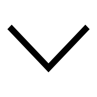 Akkordeon Icon